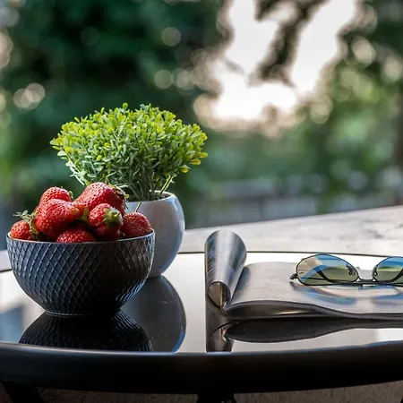 Central Dubrovnik Apartment * דוברובניק